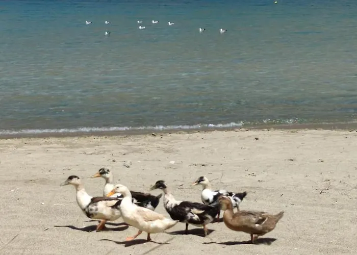 Vakantiehuis Aegean Dream House *