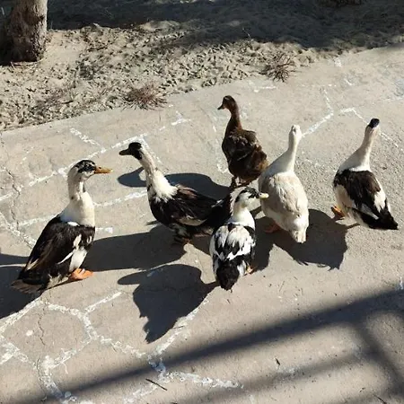 Aegean Dream House Hébergement de vacances *